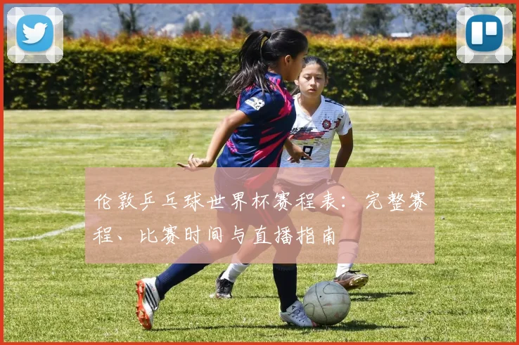 伦敦乒乓球世界杯赛程表：完整赛程、比赛时间与直播指南