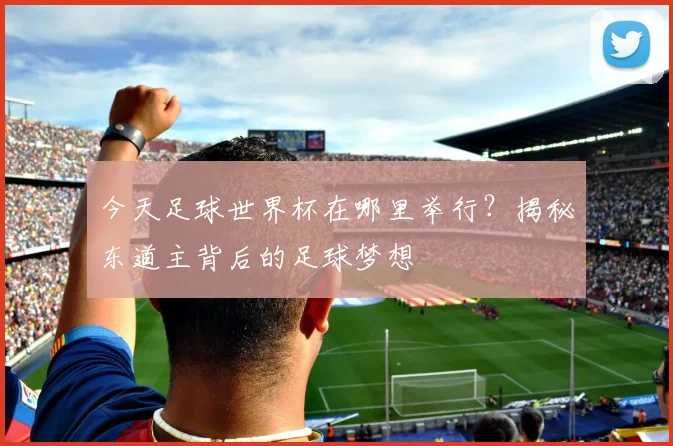 今天足球世界杯在哪里举行?揭秘东道主背后的足球梦想